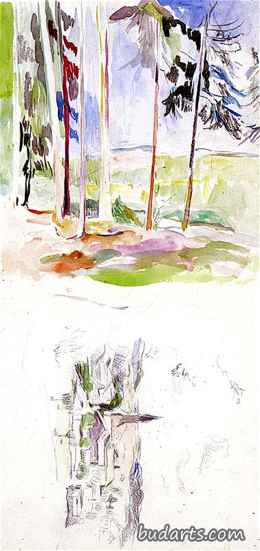 两幅风景画