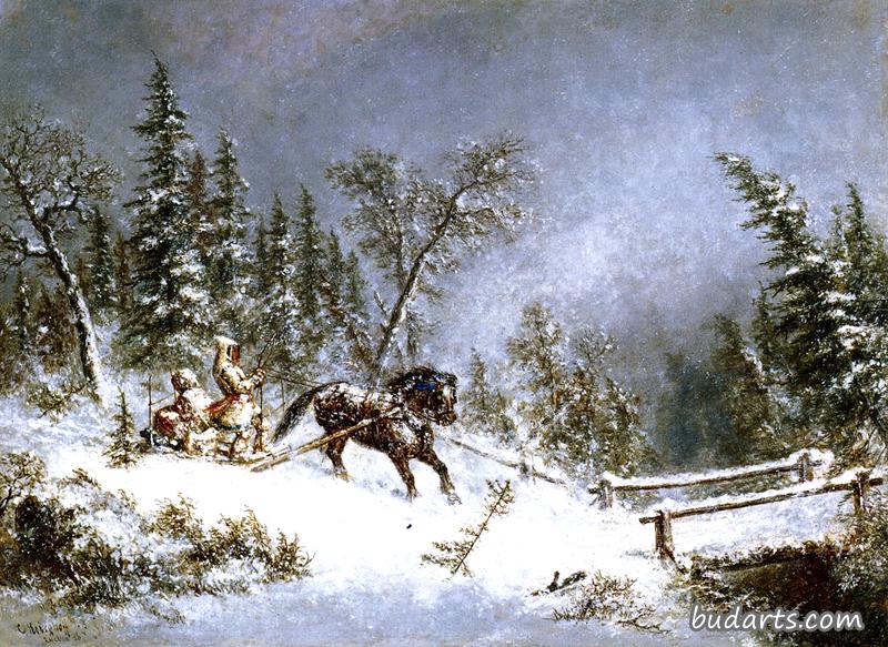 冬季，暴风雪