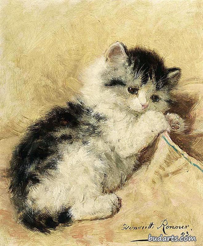 顽皮的小猫