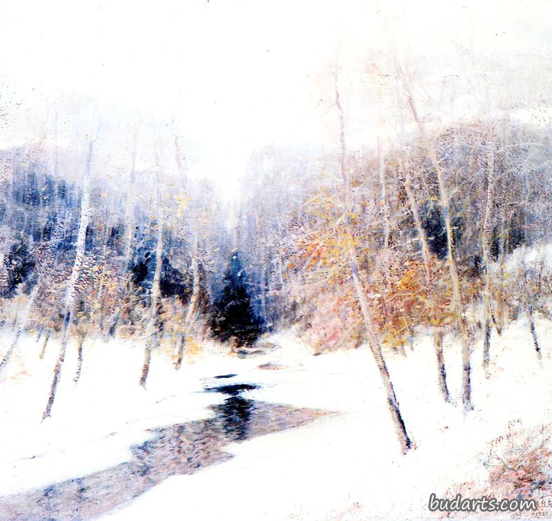 降雪