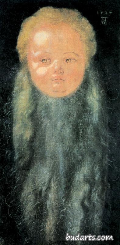 长胡子男孩的画像