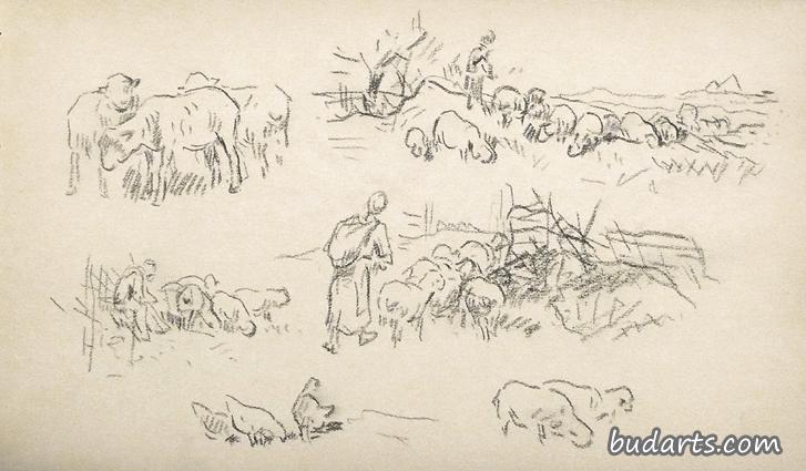 绵羊和牧羊人的习作