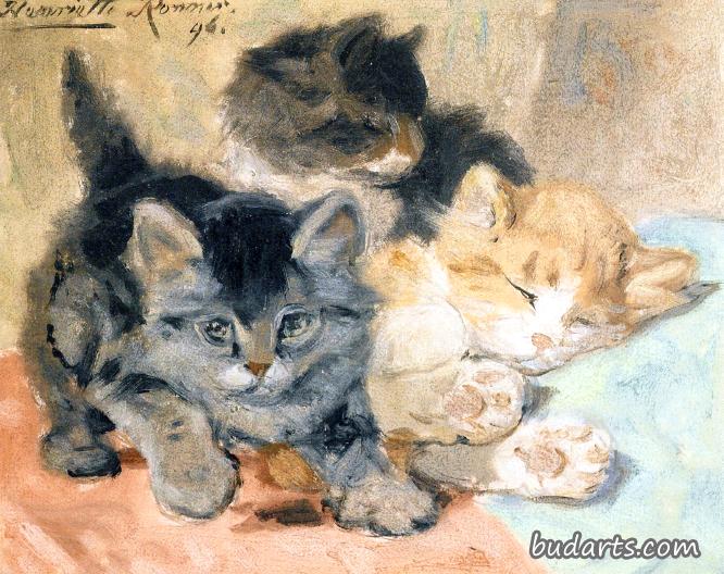 三只小猫