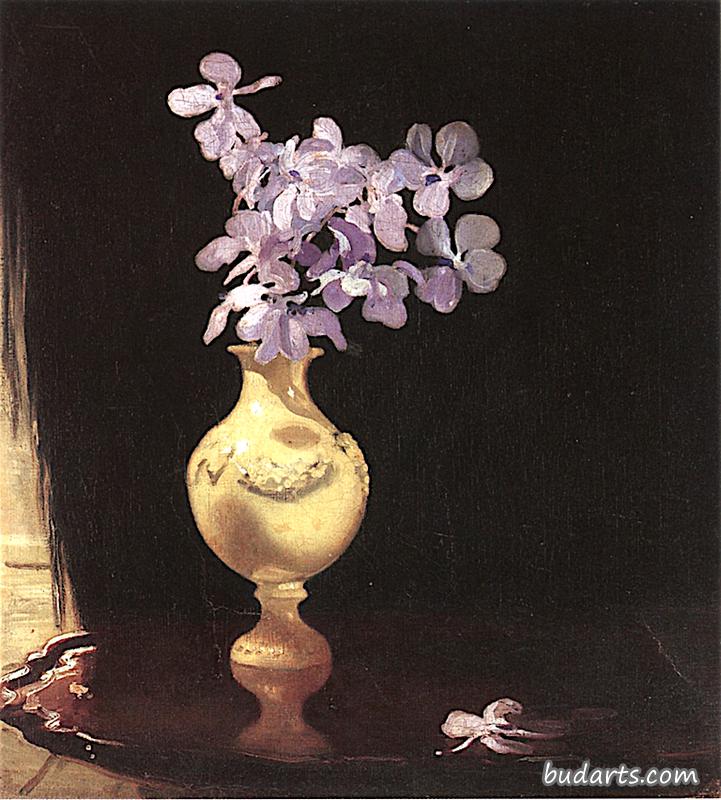 花瓶里的紫红色兰花