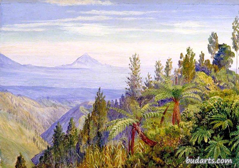 爪哇托萨里的阿尔朱诺火山
