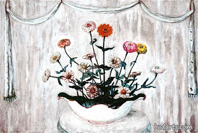百日菊