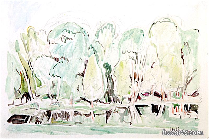 公园里的风景