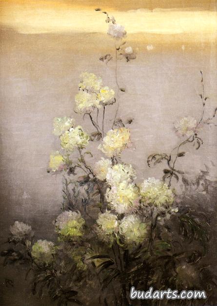 菊花