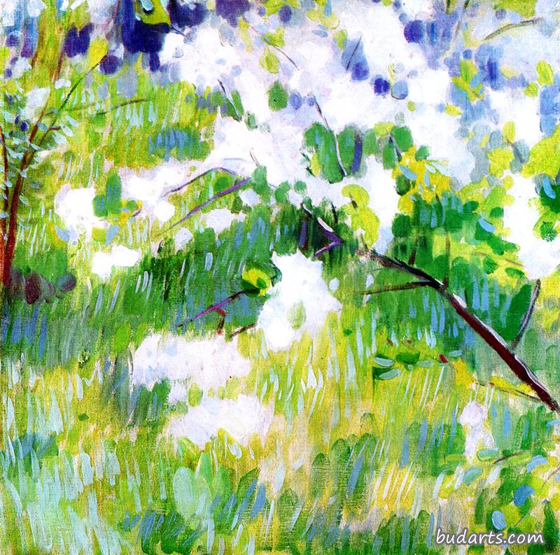 樱花树