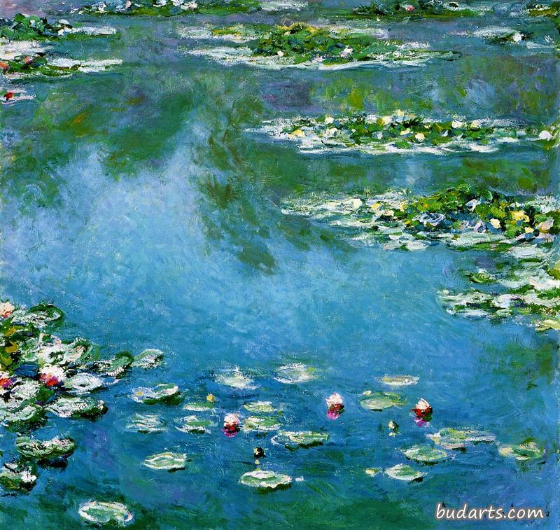 睡莲（1906，芝加哥）