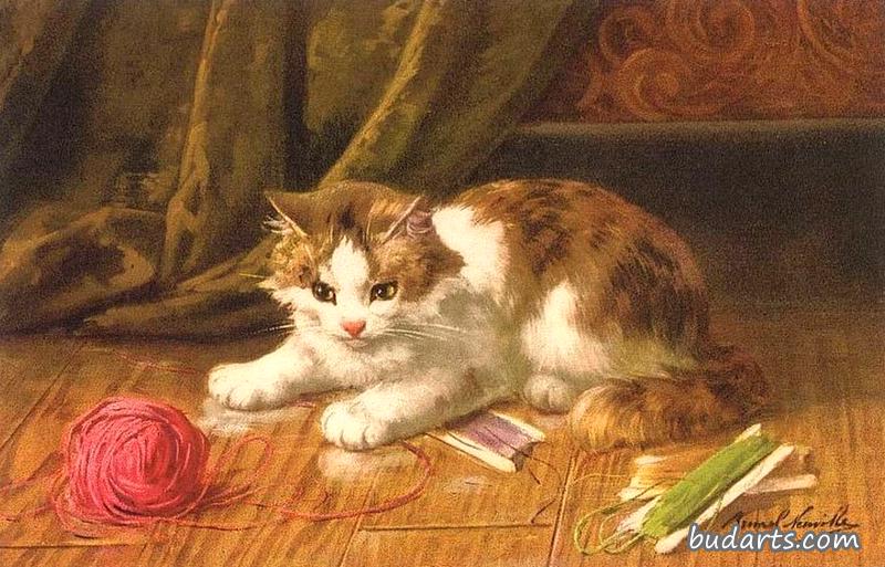 猫与羊毛