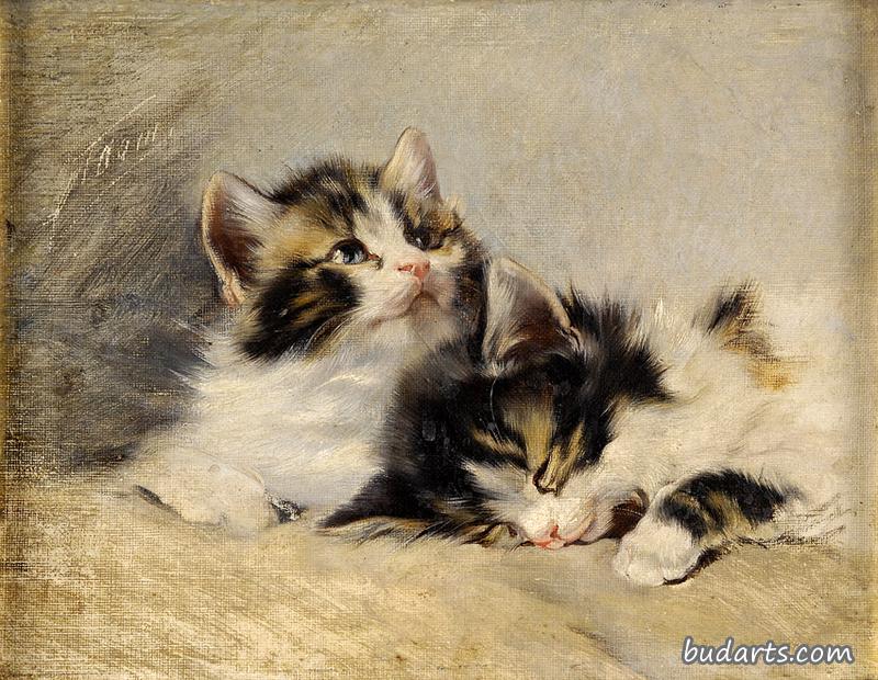 两只小猫