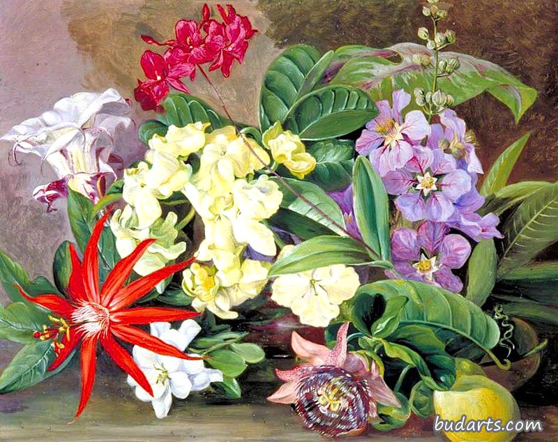种植花卉，牙买加绘画