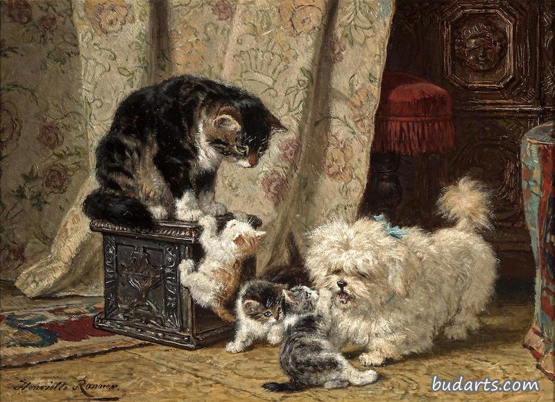 与小猫玩耍的猎犬