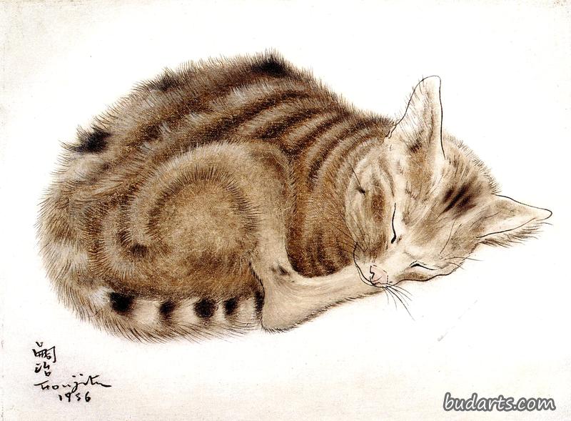 睡猫