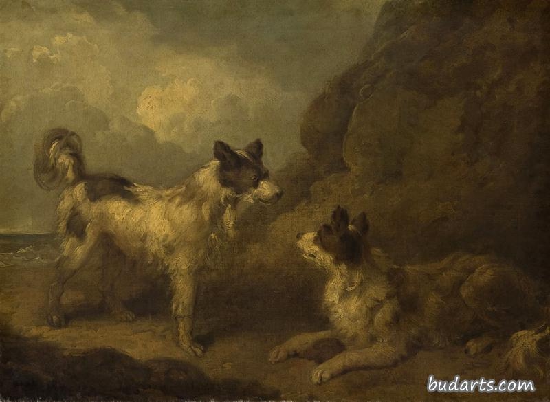 两只小猎犬