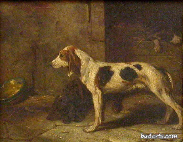 猎犬