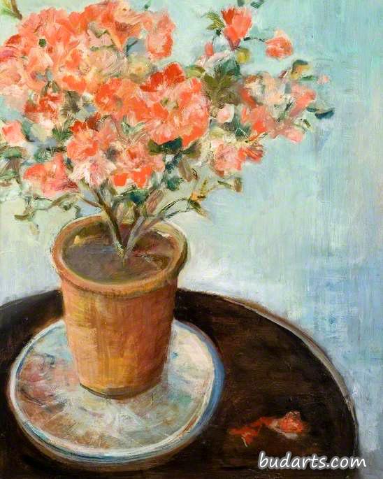 陶罐里的红花