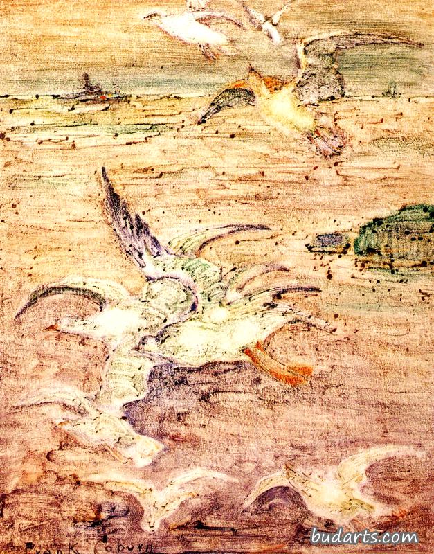 海鸥的飞翔