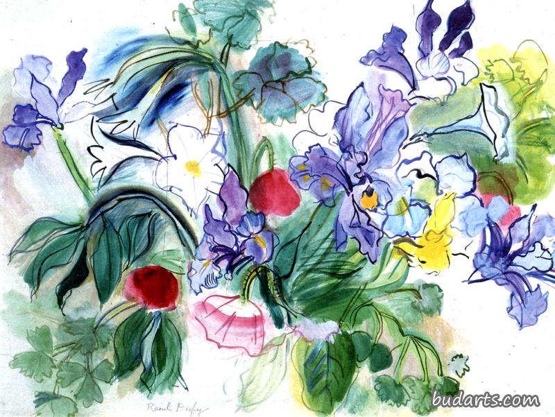 一束鸢尾花和罂粟花