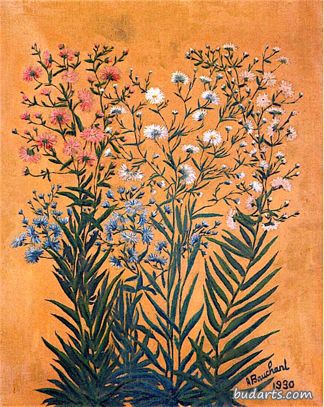 纤细的花坛