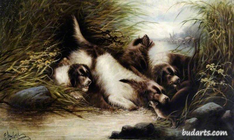 猎犬