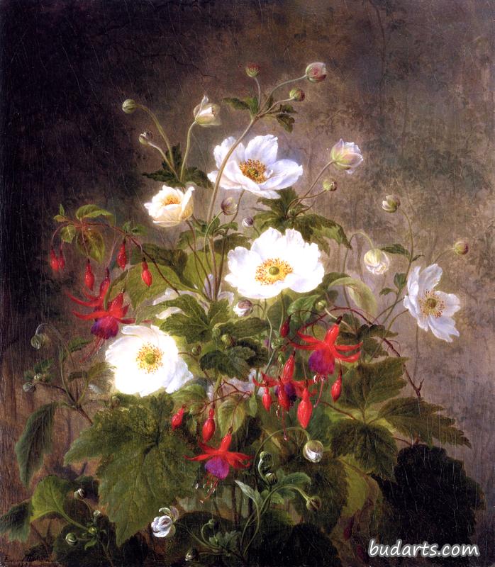 樱花静物画