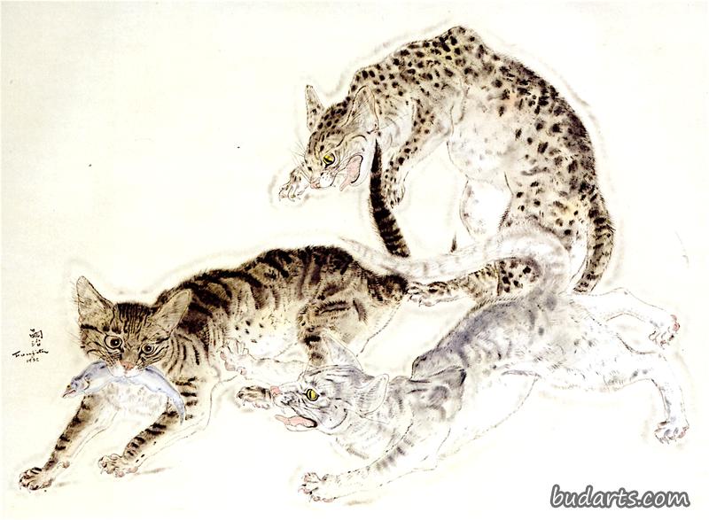 猫