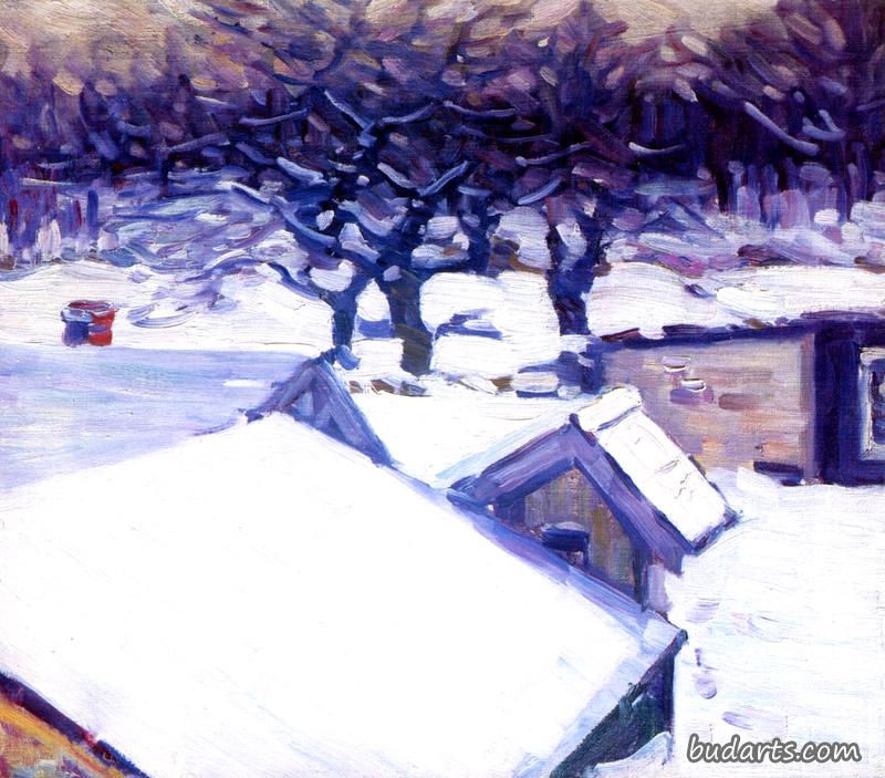 积雪的屋顶