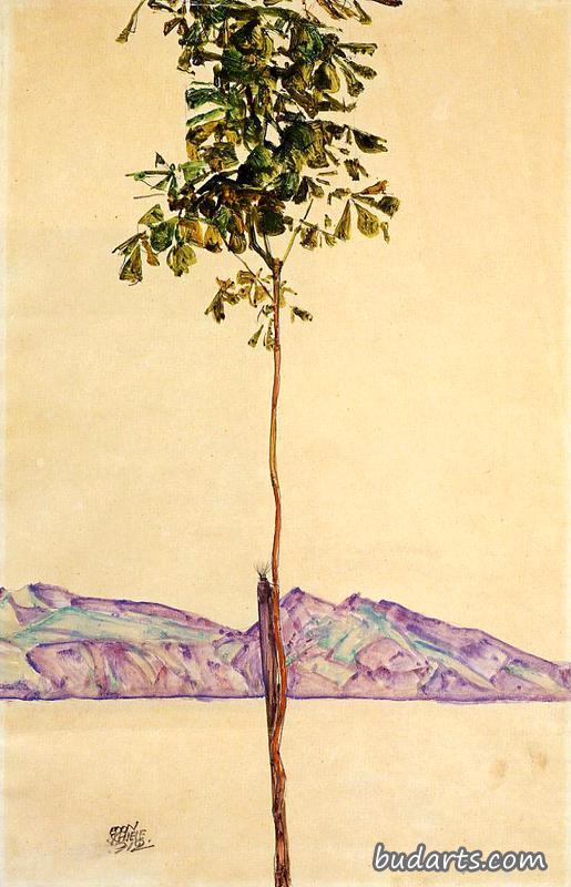 小树