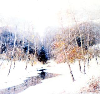 Snowfall