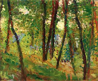 In the Woods