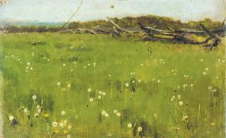 Field of Dandelions