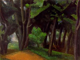 The wet forest