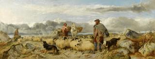 Gathering the Flock