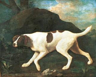 'Phyllis' a Pointer of Lord Clermont's