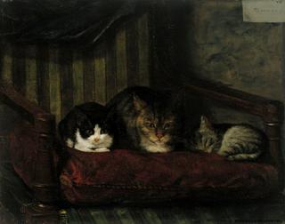 Cat and Kittens