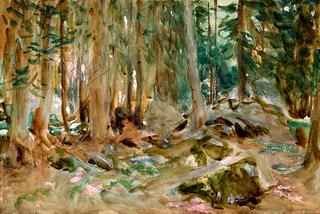 Pine Forest