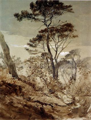 Stone Pines at Sestri