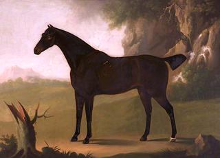 A Bay Hunter
