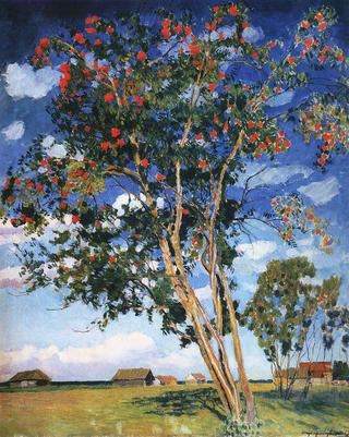 Rowan Trees