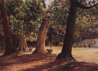 Oak Trees and Sycamores
