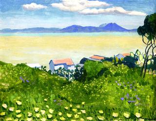 Flowering Field
