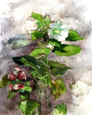 Hollyhocks