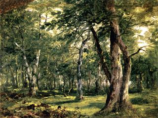 Woodland Interior with Stream