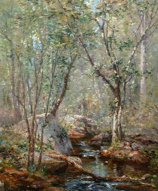 Woodland Stream