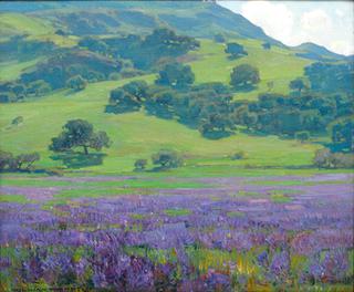Lupine Patch