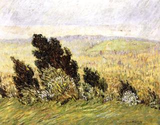 The Cedar Hedge, Chestnut Hill, Boston, Massachusetts