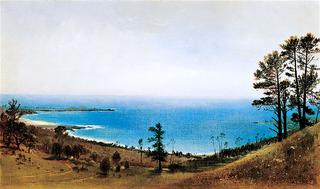 Along the Monterey Peninsula