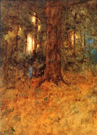 A Dim Old Forest